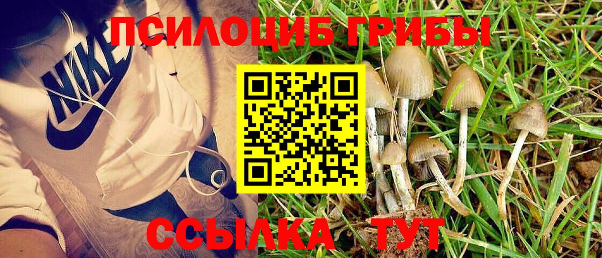 сколько стоит  Псилоцибиновые грибы MAGIC MUSHROOMS  Псилоцибиновые грибы ЛСД  Вход с VPN  Коммунар 
